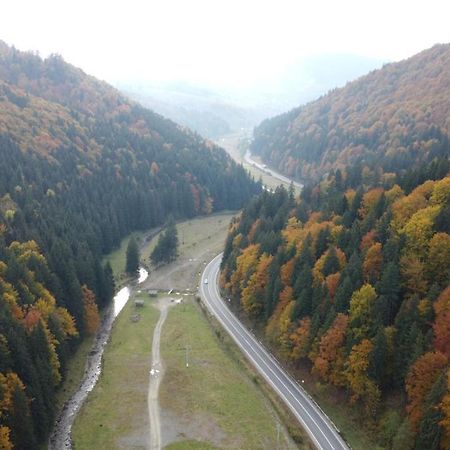 Pensiunea Bradului Colibiţa Buitenkant foto